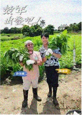 极限挑战第九季
